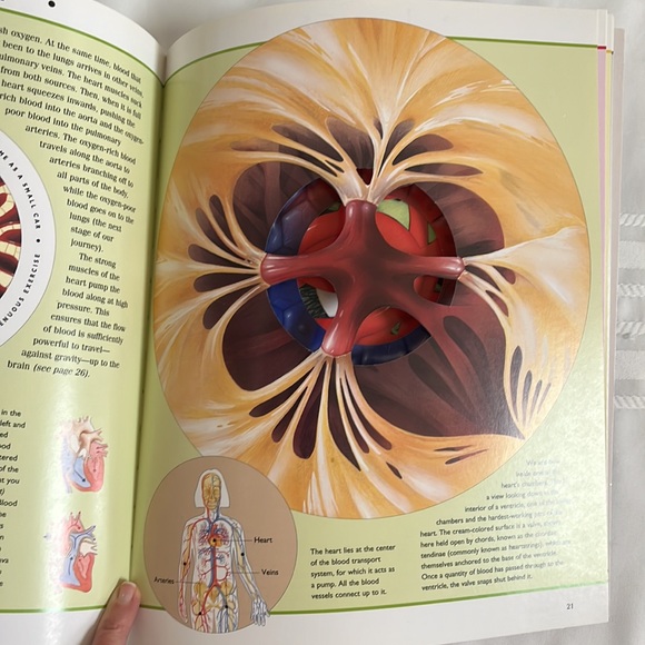 The Incredible Journey Through The Human Body by Nicholas Harris BOOK - Picture 12 of 13